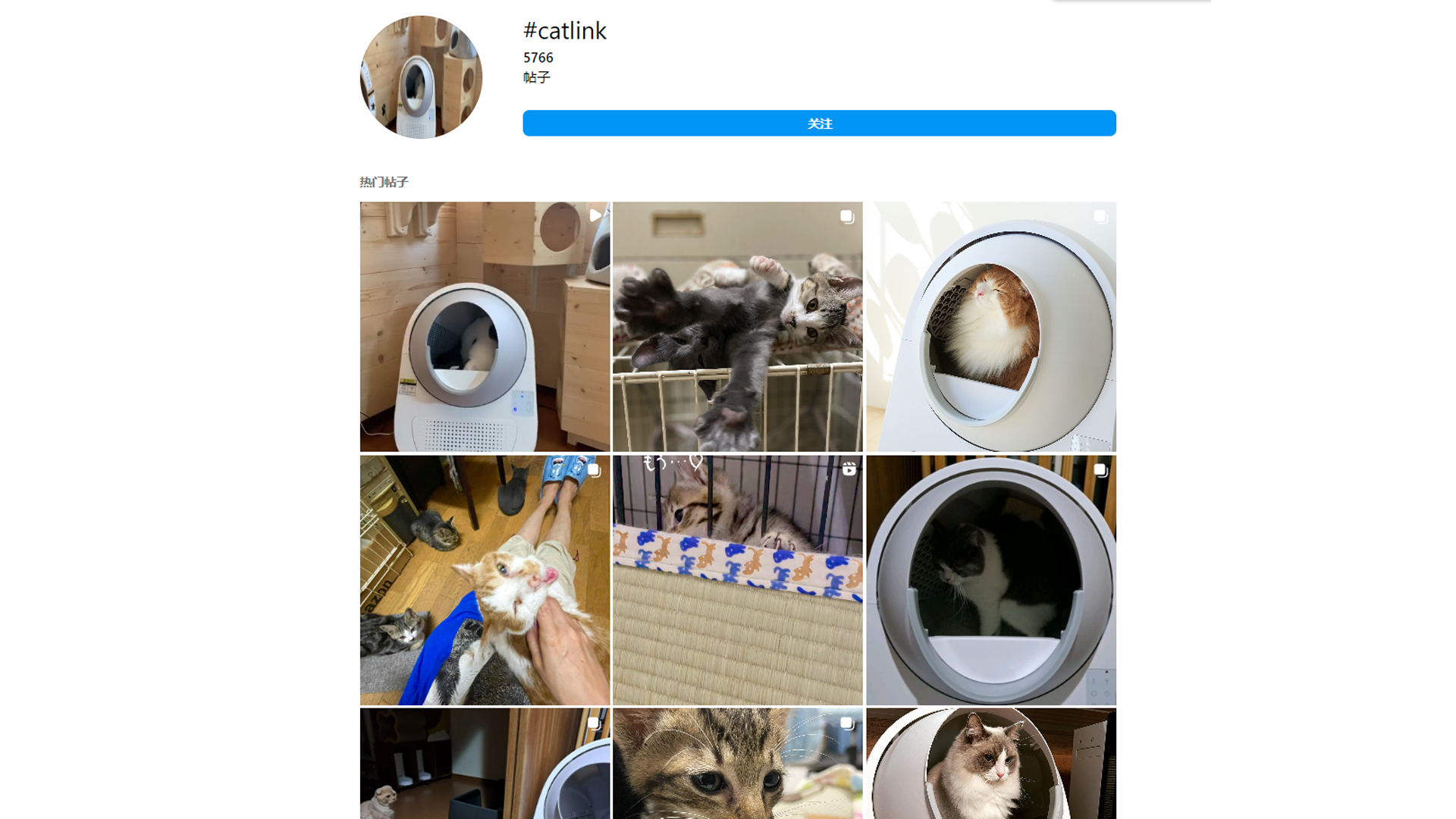 想让全世界的猫多活一年！CATLINK智能猫砂盆的出海之路！