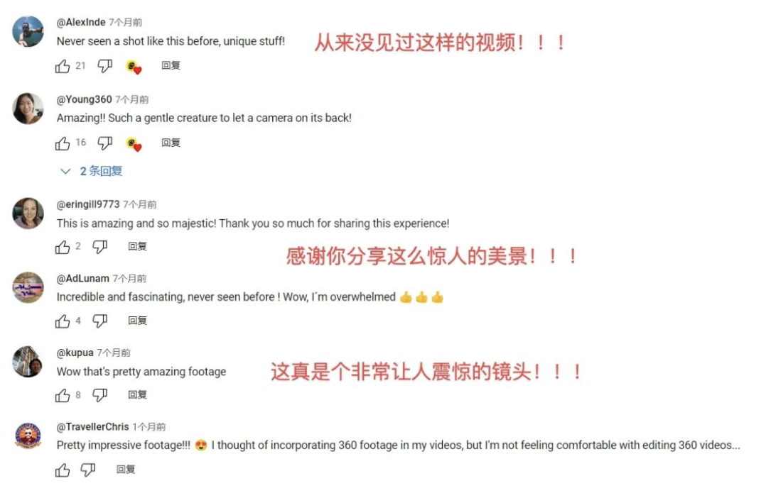 海外营收占比超过70%，Insta360的出海之路还能复制吗？