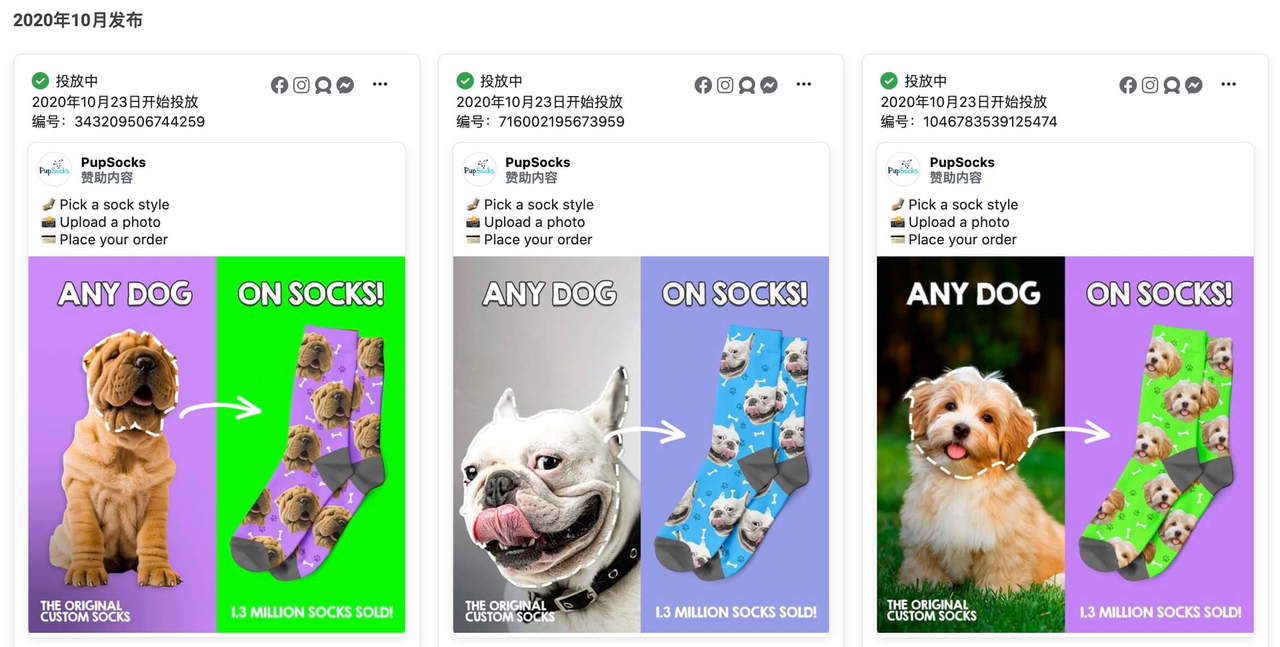 成功案例｜宠物+POD强强联手，月销800万美金如何炼成？