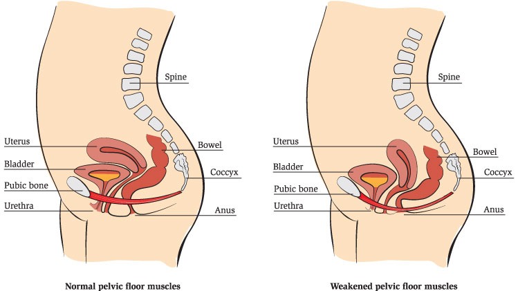 拒绝公共场所“哺乳羞耻”，这家DTC女性科技公司竟然这样反击· · ·