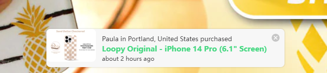 手机壳品牌LoopyCases凭什么征服美国年轻人？