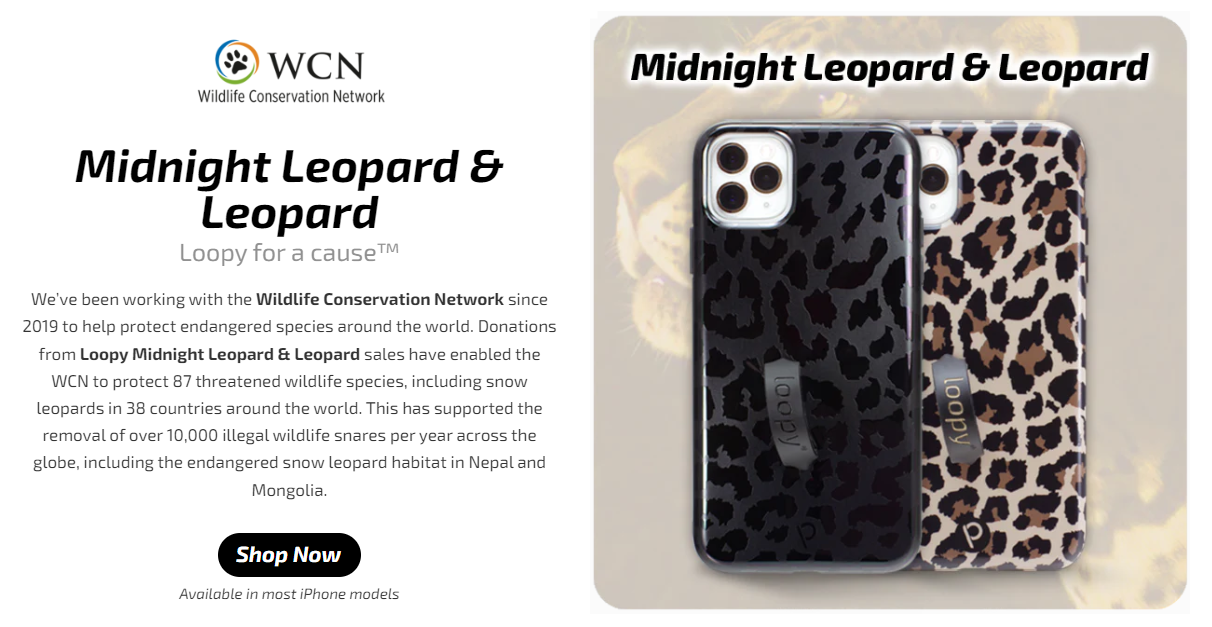 手机壳品牌LoopyCases凭什么征服美国年轻人？