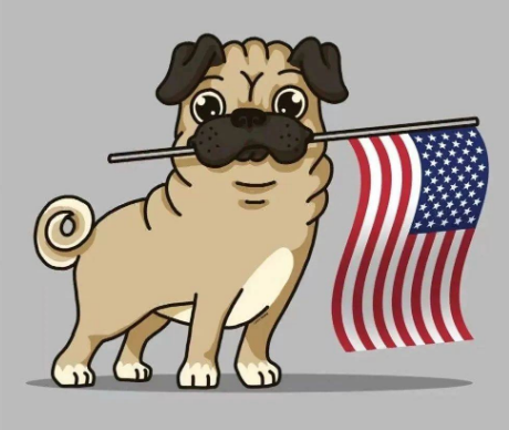 警惕！SWAG姿势版权画、TETRIS俄罗斯方块发起侵权诉讼！卖家速速排查！