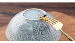 lazada平台物流规则，Lazada怎么跟踪订单