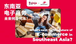 采访近10000名消费者后……《东南亚电商白皮书》来了！