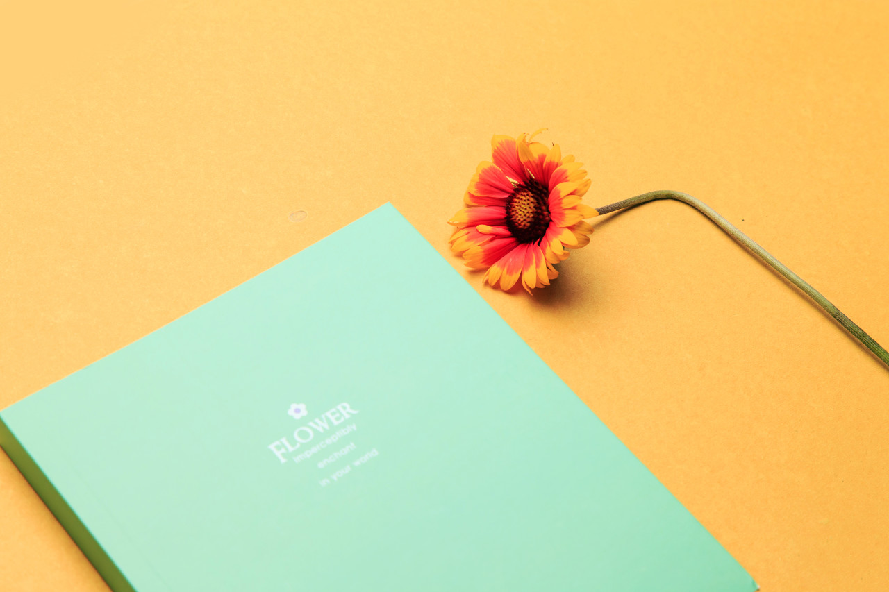 真正“触达海外消费者”的DTC品牌在做什么？【附案例】