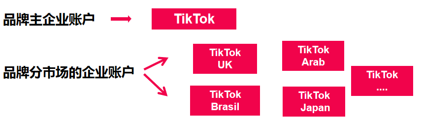 TikTok企业账户四个阶段经验分享，快来收藏！