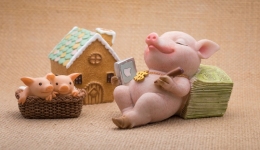 商机速递！中国玩具在中东被卖爆了！