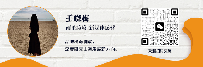 半年营收28亿，独立站潮玩大卖的野心