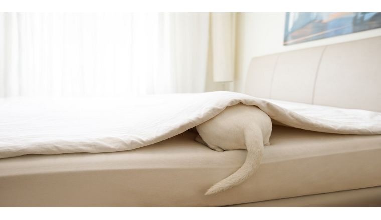 家居“换妆”需求高涨，四大品类迎来热销机遇