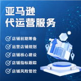 光奇犇乐跨境电商代运营