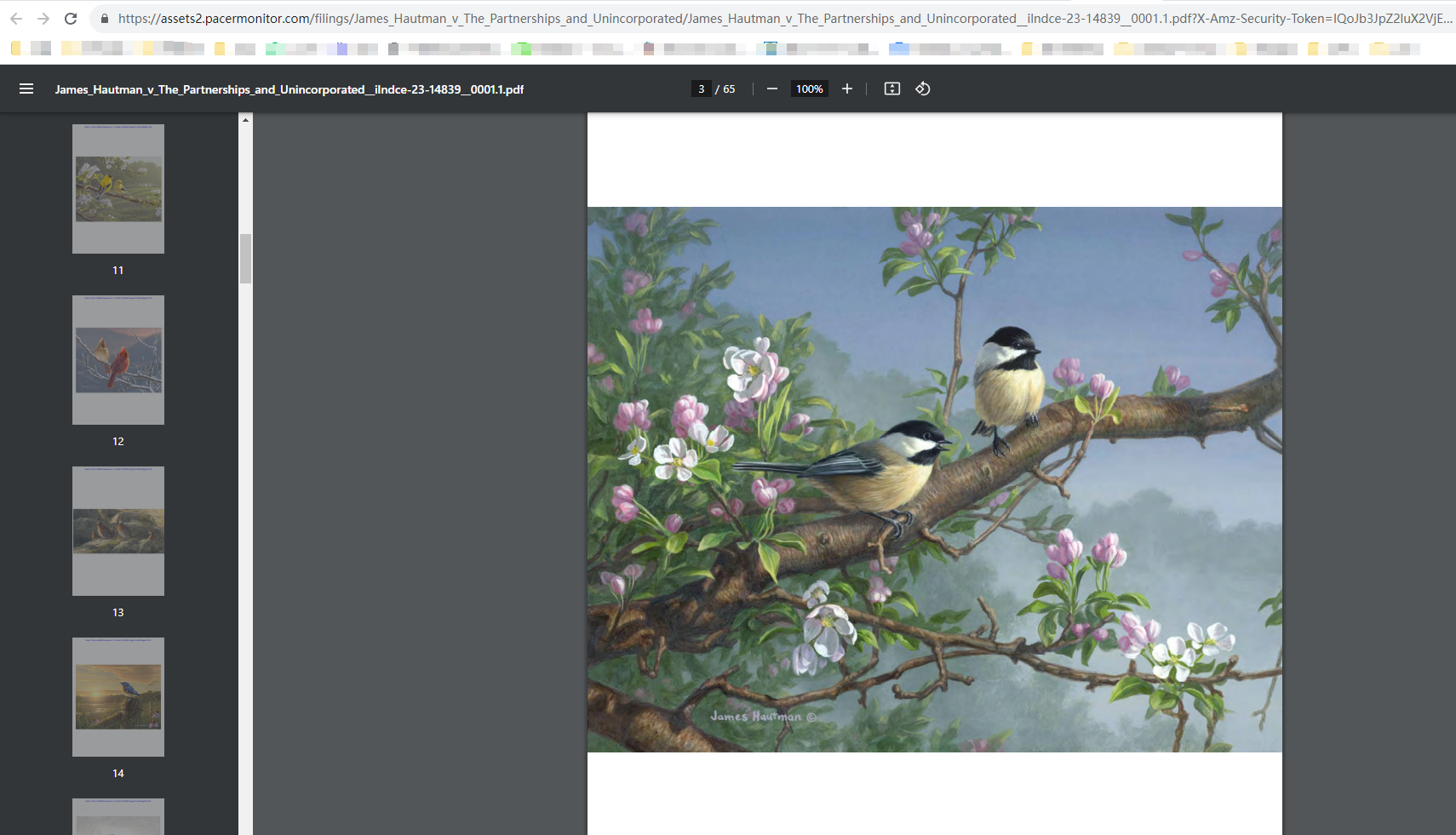 全新版权维权案例：蕾丝花边、骷髅角色、小鸟和风景