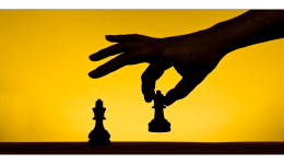 shopee店铺ID是什么，shopee店铺id怎么看