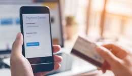 插件：提供突破边界的支付技术