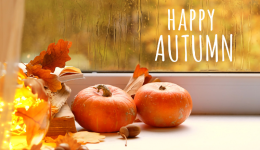 硬刚“黑五”！美区TikTok小店为卖家提供高达50%的补贴，卖家旺季营销攻略都在这里！