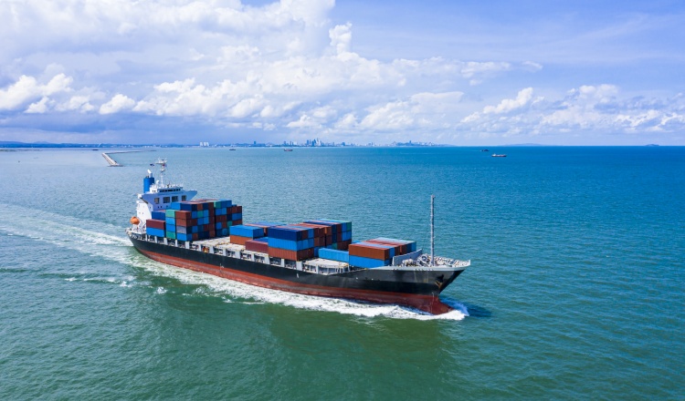 货发欧美FBA专线，OA/2M/THE船司联盟你知道多少？