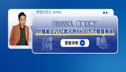 在2022年，欧盟扣押了价值超过20亿欧元的8600万个假冒商品