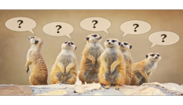 速卖通钻展和直通车有什么区别，两种推广的不同在哪