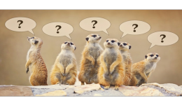 速卖通钻展和直通车有什么区别，两种推广的不同在哪