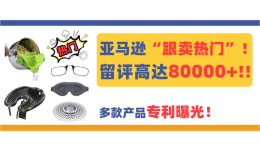 留评高达80000+！多款亚马逊“跟卖热门”产品专利曝光！