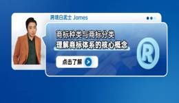 商标种类与商标分类：理解商标体系的核心概念