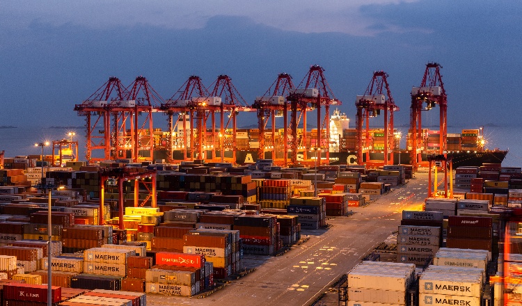 TigerAI指纹浏览器：测评与自养号的必备工具，助力跨境电商高效运营