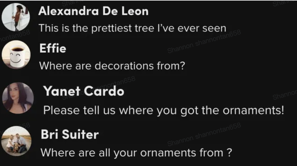 圣诞跨境电商销售指南：外网爆款盘点