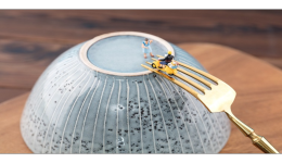 wish电池怎么发货，wish电池发货注意事项