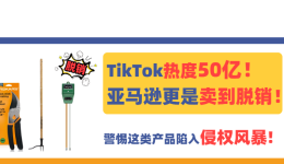TikTok熱度50億！亞馬遜更是賣到脫銷！警惕這類產品陷入侵權風暴