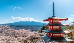 从泡沫破灭到经济复苏,当下日本消费者网购更青睐哪种支付方式?