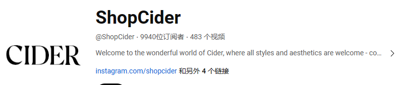 CIDER丨超懂Z时代的fashion独立站