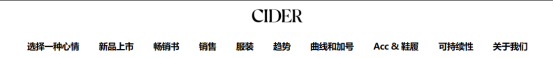 CIDER丨超懂Z时代的fashion独立站