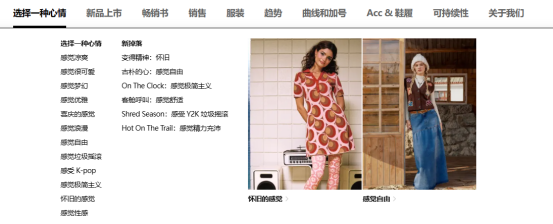 CIDER丨超懂Z时代的fashion独立站