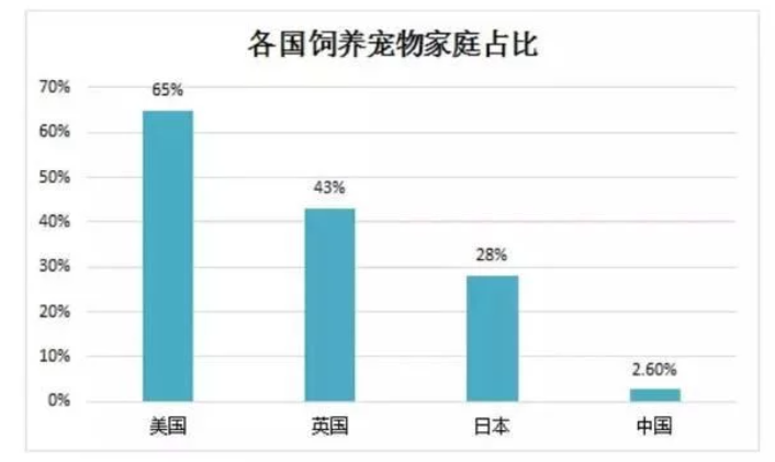 宠物用品行业-DTC独立站出海品牌故事