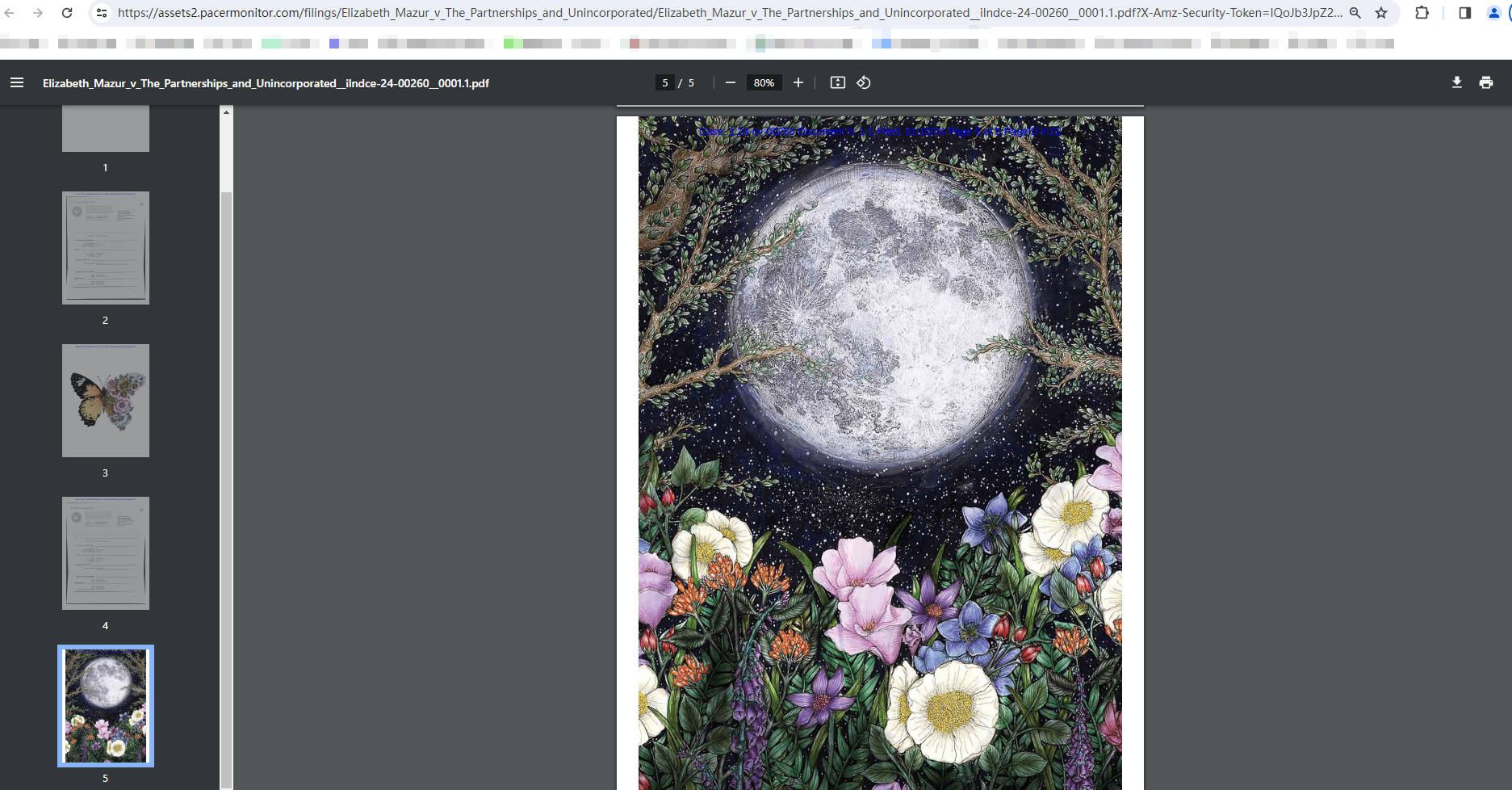 华美之下的危机：绚烂花朵与蝴蝶、圣诞节灯罩侵权隐患