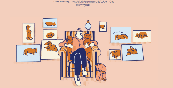 Little Beast丨超暴利的宠物服饰独立站，产品堪比GUCCI