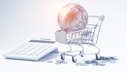 全渠道布局下,能借助哪些精品平台和“闲鱼”抢占海外本土市场?