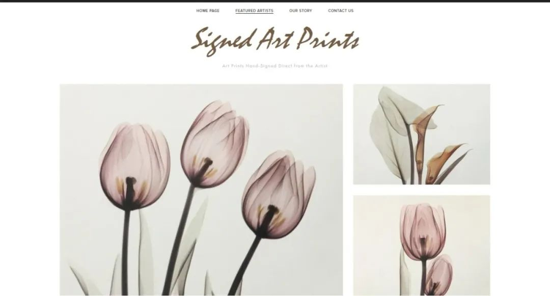 还未冻结！版权侵权起诉不断！这些图片千万别再用了！