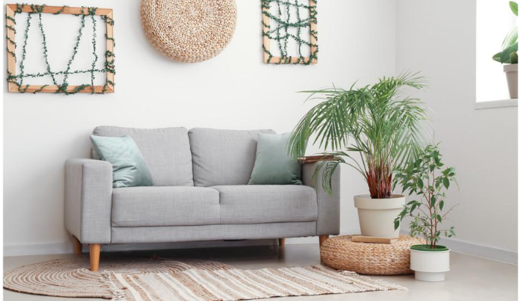 2024年全球家居园艺品类市场趋势