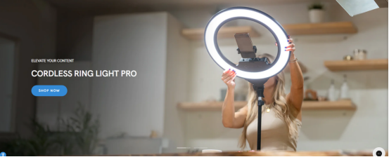 从濒临破产到年入800万美金，这个DTC品牌站做了什么？