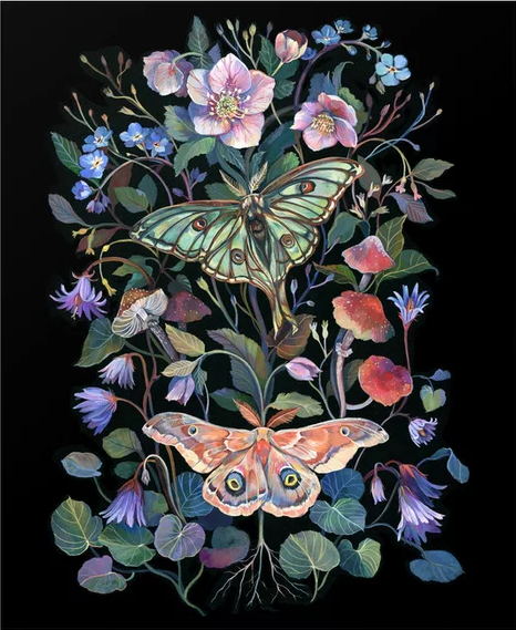 三起案件维权：飞蛾插画、摄影作品、多巴胺色彩作品全面曝光