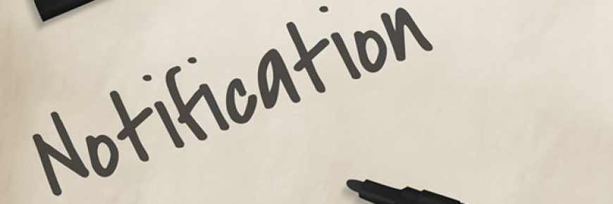 【雨果快报】披萨烤箱成TikTok厨具市场新宠,Coupang3月大促订单环比双11增幅超70%