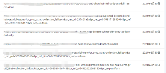 URL参数对网站SEO的影响