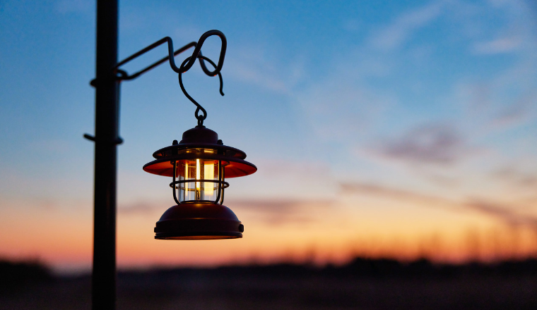 Wildberries 野莓跨境店官方要招5W的商家