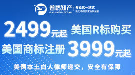 美國本土白人律師遞交，安全好備案