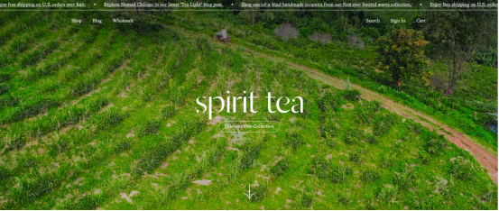 谁说中国茶在国外不受欢迎？看看这8个茶品牌是如何称霸海外的？