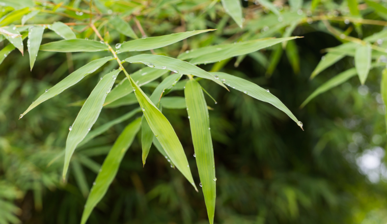 图片SEO：图片优化的 9 个必备技巧