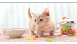 美国人均花费超千元的品类，中国卖家的销量增速明星！