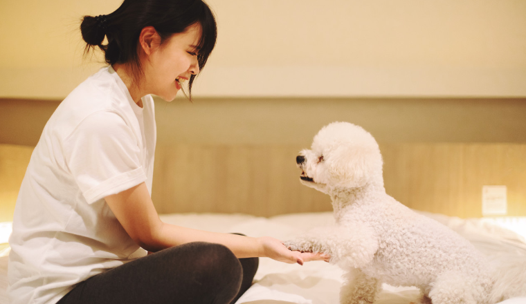 急！宠物品类爆雷！尚未发起TRO！卖家速查！