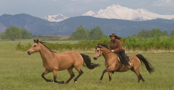 【TRO侵权预警】Keith律所代理版权画来袭!预计很快开始冻结资金!速速排查!